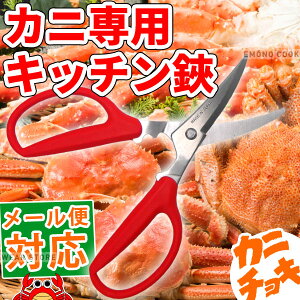 Jj`L Jjp XeX Lb`oT~ _ Jj΂ JjoT~ I΂ IoT~ Jj k yX InT~ Jjp[eB[ _ [ 䂤pPbg Ή _AC0684