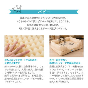 パピー、成犬、シニアの年代に合わせて選べるペット用3Dベッド