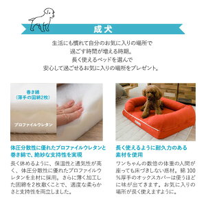 パピー、成犬、シニアの年代に合わせて選べるペット用3Dベッド