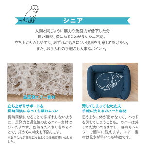 パピー、成犬、シニアの年代に合わせて選べるペット用3Dベッド