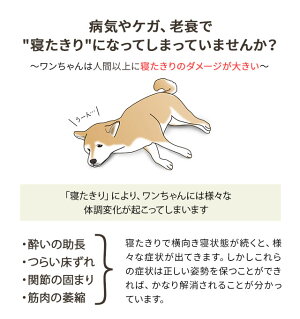 楽天市場 ランキング1位 犬 犬用 ペット シニア 介護 ペットベッド ベッド ベット 介護用ベッド 介護用ドッグベッド 犬用ベッド クッション 洗える 寝たきり 床ずれ 体圧分散 紐 小型犬 中型犬 大型犬 シニア犬 老犬 老犬介護用 猫 送料無料 ねどっこ エムールねどっこ