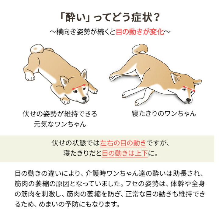 楽天市場 ランキング1位 犬 犬用 介護用ベッド ペット シニア 介護 ケア ペットベッド ベッド ベット 介護用品 犬用ベッド クッション 床ずれ 防止 マット 洗える 寝たきり 体圧分散 体位交換 リハビリ 補助 防水 小型犬 中型犬 シニア犬 老犬 老犬介護用 猫 送料