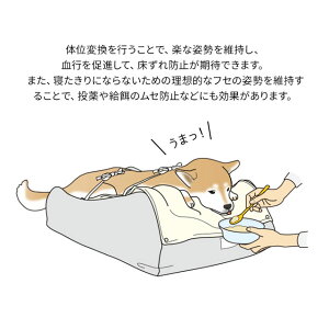 楽天市場 ランキング1位 犬 犬用 介護用ベッド ペット シニア 介護 ケア ペットベッド ベッド ベット 介護用品 犬用ベッド クッション 床ずれ 防止 マット 洗える 寝たきり 体圧分散 体位交換 リハビリ 補助 防水 小型犬 中型犬 シニア犬 老犬 老犬介護用 猫 送料