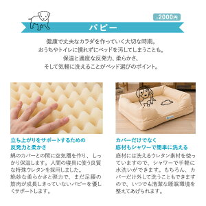 パピー、成犬、シニアの年代に合わせて選べるペット用3Dベッド
