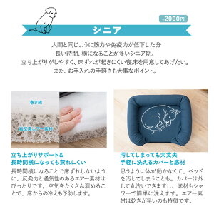 パピー、成犬、シニアの年代に合わせて選べるペット用3Dベッド