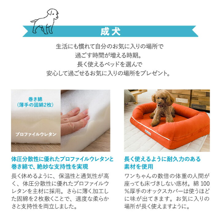 楽天市場】犬 ペット ベッド ペットベッド 犬用ベッド 犬用 ベット 3D Mサイズ カバーを外して洗える パピー 成犬 シニア 老犬 カドラー 丈夫 高反発ウレタン 綿100% 高級 猫 小型犬 通気性 丸洗い 洗濯 頑丈 立ち上がり 体圧分散 秋 冬 春 夏 オールシーズン 楽天市場】犬 ペット ベッド ペットベッド 犬用ベッド 犬用 ベット 3D Mサイズ カバーを外して洗える パピー 成犬 シニア 老犬 カドラー 丈夫 高反発ウレタン 綿100% 高級 猫 小型犬 通気性 丸洗い 洗濯 頑丈 立ち上がり 体圧分散 秋 冬 春 夏 オールシーズン