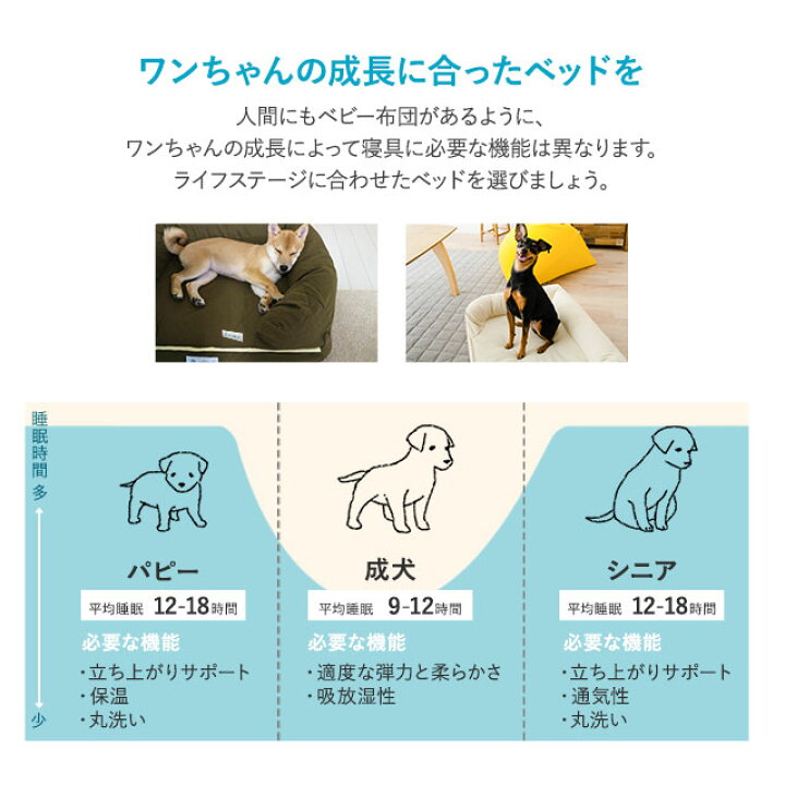 国内最安値 ペットベッド 犬用ベッド 犬用 ベット Mサイズ カバーを取り外して洗える猫 通気性 洗濯可 耐久性 立ち上がり 体圧分散 オールシーズン 介護 可愛い 選べる３色 おしゃれ北欧 枕付き 清掃しやすい 滑り止め送料無料 Fucoa Cl