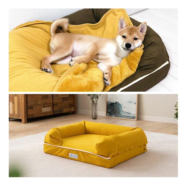 楽天市場 犬 ペット ベッド ペットベッド 犬用ベッド 犬用 ベット 3d Mサイズ カバーを外して 洗える パピー 成犬 シニア 老犬 カドラー 丈夫 高反発ウレタン 綿100 高級 猫 小型犬 通気性 丸洗い 洗濯 頑丈 立ち上がり 体圧分散 秋 冬 春 夏