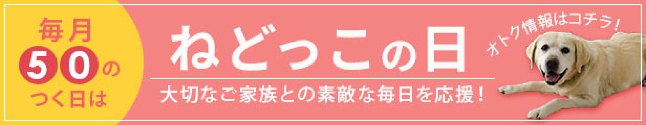 ねどっこの日