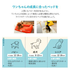 パピー、成犬、シニアの年代に合わせて選べるペット用3Dベッド