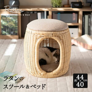 Xc[Lbgxbh L xbh ^  VRf y Ȃ₩ v B [ K bNX Q Lpxbh ybgxbh Q ֎q  CX | ˂ lR Q I[