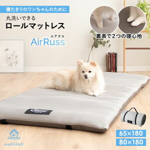   }bg xbh ې  h~ ybg VjA PA NbV ybgp h~}bg [ hbOPA}bg C pxbh V[xbh 􂦂 ^ ^ 