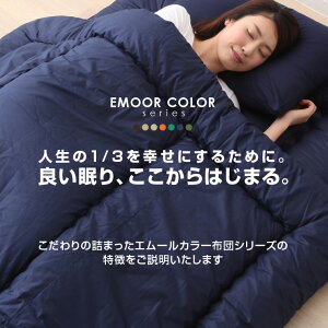 掛け布団ダブルサイズ日本製防ダニダニ防止防虫抗菌防臭掛布団掛けふとん掛けぶとんかけふとんかけぶとんオールシーズンダニ防止マイティトップあったか【送料無料】エムール