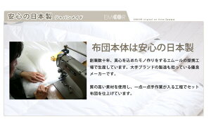 日本製ヌード布団セット『レオーネ/クイーンサイズ』(お布団セット組布団セット布団ふとん寝具セット)(防虫抗菌防臭掛け布団敷き布団枕)【新生活フェア110210】送料無料【smtb-f】