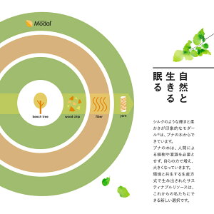 モダール