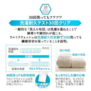 肌掛け布団クイーンサイズ日本製防ダニダニ防止防虫抗菌防臭『クラッセスーパーライト』