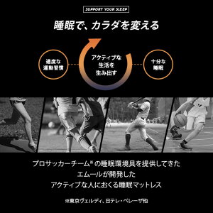 ボディサポーター指圧ふとんスタンダードシングルかためタイプ