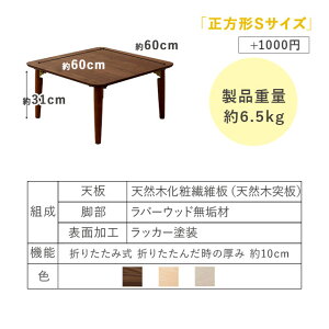 小ぶりの折りたたみテーブル長方形