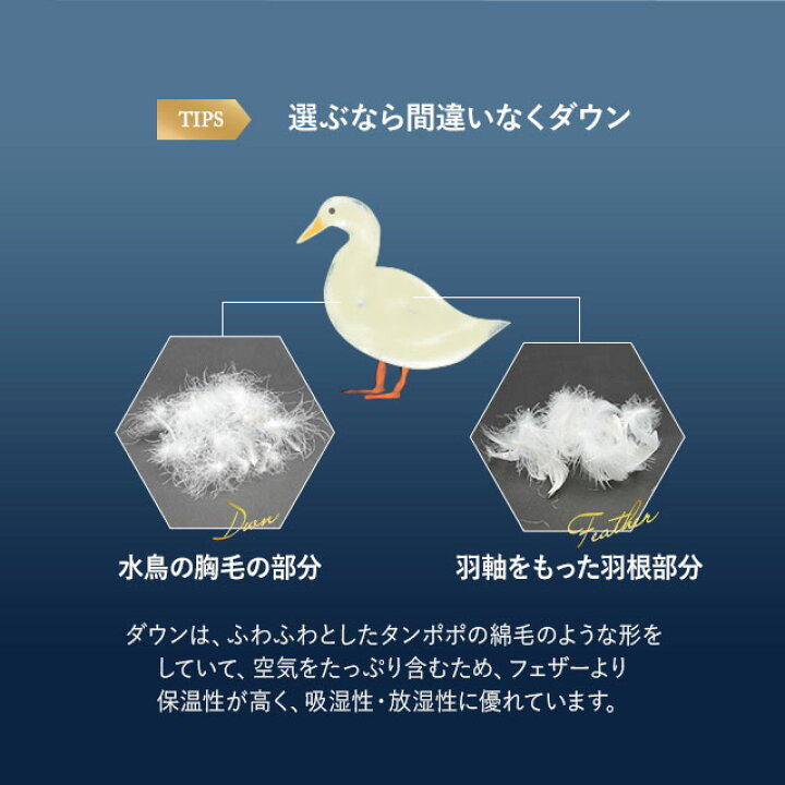 楽天市場】【10%OFFクーポン 枚数限定 3/27迄】日本製 羽毛布団 ダブル 