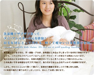 コンフォレルダウンエッセンス掛け布団シングル(洗える掛け布団掛布団掛けふとん掛けぶとんかけふとんかけぶとんあったか羽毛布団洗える布団)(インビスタダクロン綿100%ウォッシャブル)【送料無料】