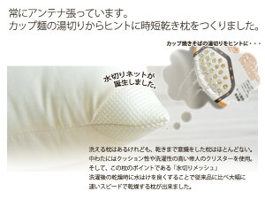 乾きが早い洗える枕