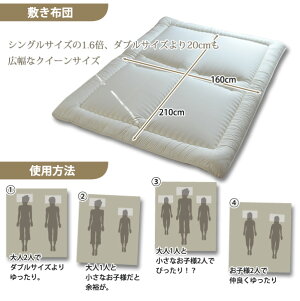 日本製ヌード布団セット『レオーネ/クイーンサイズ』(お布団セット組布団セット布団ふとん寝具セット)(防虫抗菌防臭掛け布団敷き布団枕)【新生活フェア110210】送料無料【smtb-f】