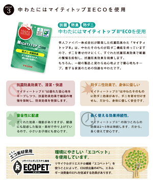 乾きが早い洗える枕