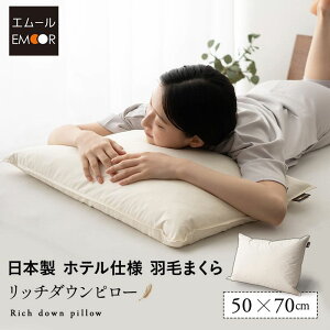 y800~OFFzzedl  { Hі b`_Es[ 50×70cm   Hт܂ Hу}N ܂ down pillow zes[ ze 唻 100% ̓ ̓ NX