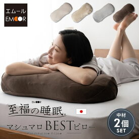 【本日全品P5倍】【510円OFF】枕 抱き枕 ビーズクッション 日本製 ベストピロー BEST ピロー 中材2個セット 至福の睡眠 国産 洗える 抱きまくら 足枕 フットピロー まくら クッション 肩こり リラックス おしゃれ かわいい 妊婦 母の日 クリスマス 送料無料 父の日