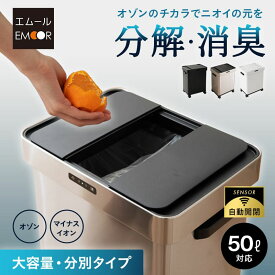 【本日全品P5倍】【1200円OFF】ゴミ箱 ダストボックス 50リットル 消臭 除菌 空気清浄 オゾン マイナスイオン 大容量 分別 自動開閉 電動 スライド センサー ふた付き 角型 スクエア スリム ごみ箱 電池 お手入れ簡単 キッチン リビング 生ごみ おむつ ペット 50L 高機能 お