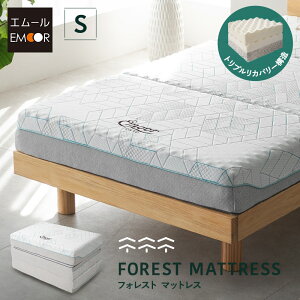 y20%OFFN[|  11z}bgX VO Ɍ 15cm O܂ ܂肽 3w\ JX^}CY\  e E^  炩 ̈U 􂦂 ʋC tBbg