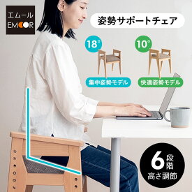 【本日15時〜全品P5倍】【最大2010円OFF】姿勢サポートチェア バランスチェア デスクチェア スツール 高さ調節 肘掛け 姿勢補助 リビング オフィス 在宅 リモート デスク ワーク 勉強 学習 椅子 いす イス チェア 腰掛け 猫背 前のめり 前傾 背筋 立ち座り サポート 大人