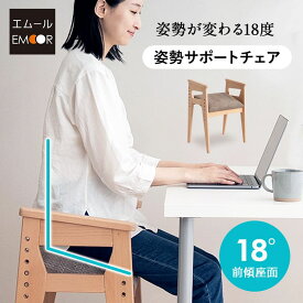 姿勢サポートチェア バランスチェア デスクチェア スツール 高さ調節 肘掛け 姿勢補助 リビング オフィス 在宅 リモート デスク ワーク 勉強 学習 椅子 いす イス チェア 腰掛け 猫背 前のめり 前傾 背筋 立ち座り サポート 大人 子供 高齢者 介護 送料無料 エムール