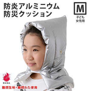 hГ A~hГ A~ Rfނgp { 28×42cm y(){hFiz ڂ {ETCYL hЂ hАi hЃObY JlJ X[p[G