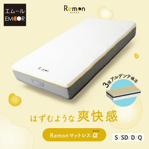 REMON}bgX  VO Z~_u _u NC[ Ɍ 22cm 3w\ zAfqh  E^ }bgX  QԂ ̈U tBbg T|[g e͐ ʋC ϋv 