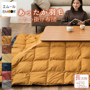  Hтzc `210×250cm [P[Xt H |zc zc xzc R^c 􂦂 y G[xr[