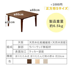 小ぶりの折りたたみテーブル長方形