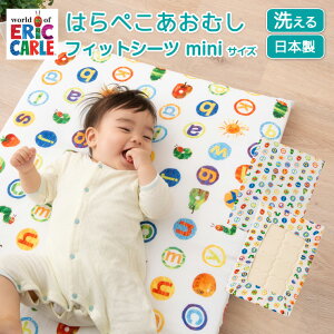 xr[zc ~j V[c Jo[ { ͂؂ނ tBbgV[c xr[ 60×90cm ۈ牀 ct 􂦂  tBbeBpbNV[c pbNV[c ~ӂƂJo[ ~V[c 