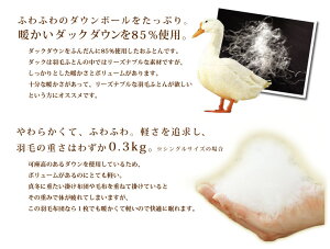 ダウンケット羽毛掛け布団キング