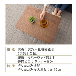 小ぶりの折りたたみテーブル長方形