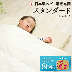 xr[ Hѕzc |zc yj[S[hxz Hъ|ӂƂ xr[TCY 95×120cm zCg_bN_E85 { xr[zc H xr[ӂƂ Ԃ Mtg oYj G