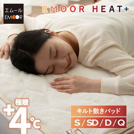 敷きパッド ベッドパッド シングル セミダブル ダブル クイーン 極暖 吸湿発熱 あったか 暖か 温か 洗える 冬用 防寒対策 寒さ対策 布団カバー マットレス 布団 ふとん 寝具 ふわふわ もこもこ 秋 冬 ヒートプラス 無地 北欧 敬老の日 クリスマス 送料無料 エムールライフ