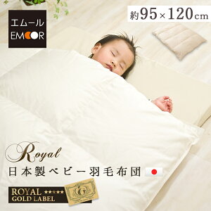 { xr[ Hѕzc |zc 95×120cm xr[TCY CS[hx [P[Xt [vt 100 y xr[zc xr[ӂƂ HтӂƂ Y H zCg zc z