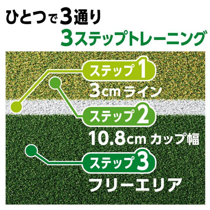 楽天市場】パター練習器具 ダイヤゴルフ 長さ3m パターグリーンHD3230 