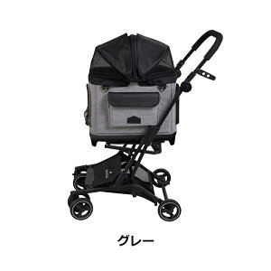 Royal TailsiCeCYjAliceiAXjybgL[&J[gt[yROYAL TAILSKiz