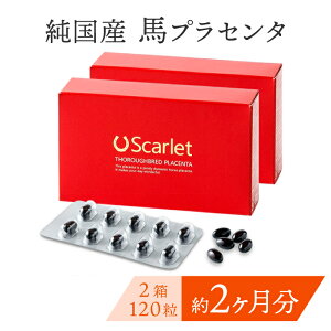 Ȃ܂Ƃߔy2 120^60znvZ^ Tv Y vZ^ Tvg Scarlet XJ[bgY kC Tubh n vZ^ Tvg XN  eT