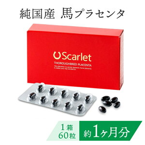 nvZ^ Tv Y vZ^ Tvg Scarlet XJ[bgy1 60^30zY kC Tubh n vZ^ Tvg XN  eTv