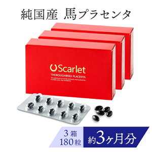 Ȃ܂Ƃߔy3 180^90znvZ^ Tv Y vZ^ Tvg Scarlet XJ[bg Y kC Tubh n vZ^ Tvg XN  e