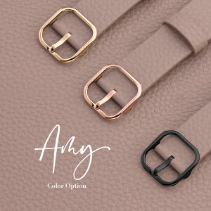 AMY��p �I�v�V���� �J���[