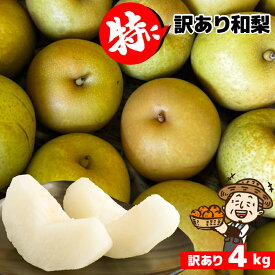 愛媛産 特に訳あり和梨4kg 箱込み【送料無料(一部地域除く)】不ぞろい 不選別 ご自宅用に最適 和梨 なし フルーツ 果物 くだもの 果実 青果 食品ロス おやつ デザート 秋の味覚 コロナ おうち時間応援 産地直送